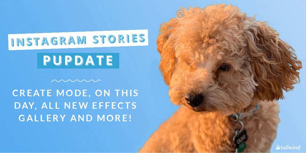 A curly-haired light brown dog with a collar is pictured next to text on a blue background, announcing that new Instagram Story effects are here and they're seriously cool, along with "PUPDATE" and more exciting features.